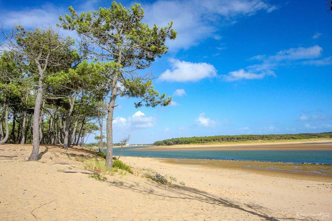 Appartement, Vue Imprenable Sur Port Talmont-Saint-Hilaire Kültér fotó